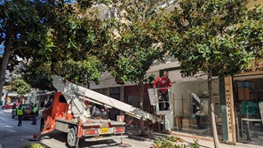 Δήμος Λαρισαίων: Εργασίες κλαδέματος στην οδό Γεωργιάδου την Κυριακή